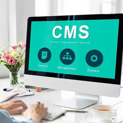 Custom Shopify Stores